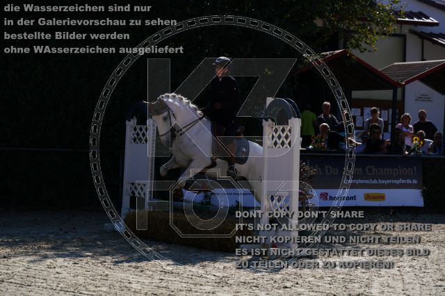 s_K3F03803.JPG